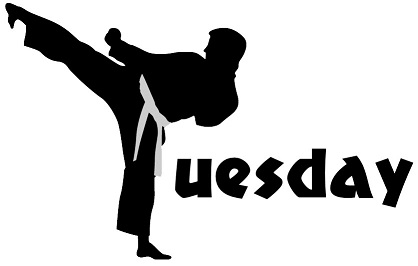 Tuesday Zoom Martial Arts
